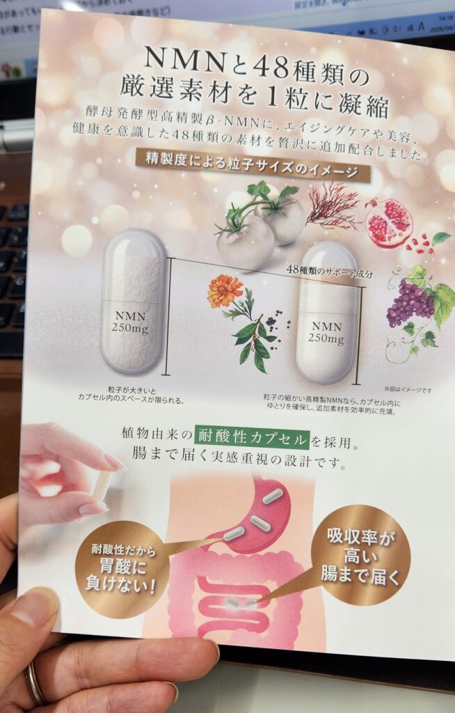 NMN22500＋48のカプセルの資料